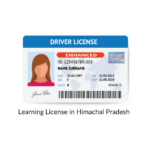 Learning Licence in Himachal Pradesh